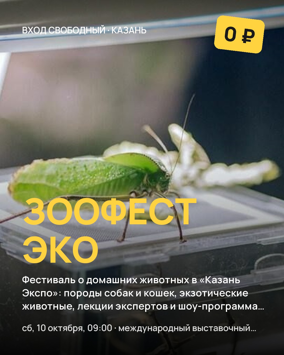 Фестиваль ЗООФЕСТ ЭКО