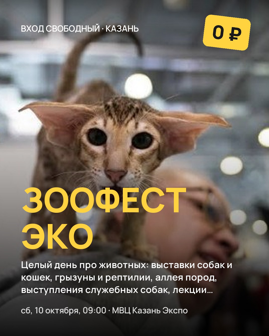 Фестиваль ЗООФЕСТ ЭКО