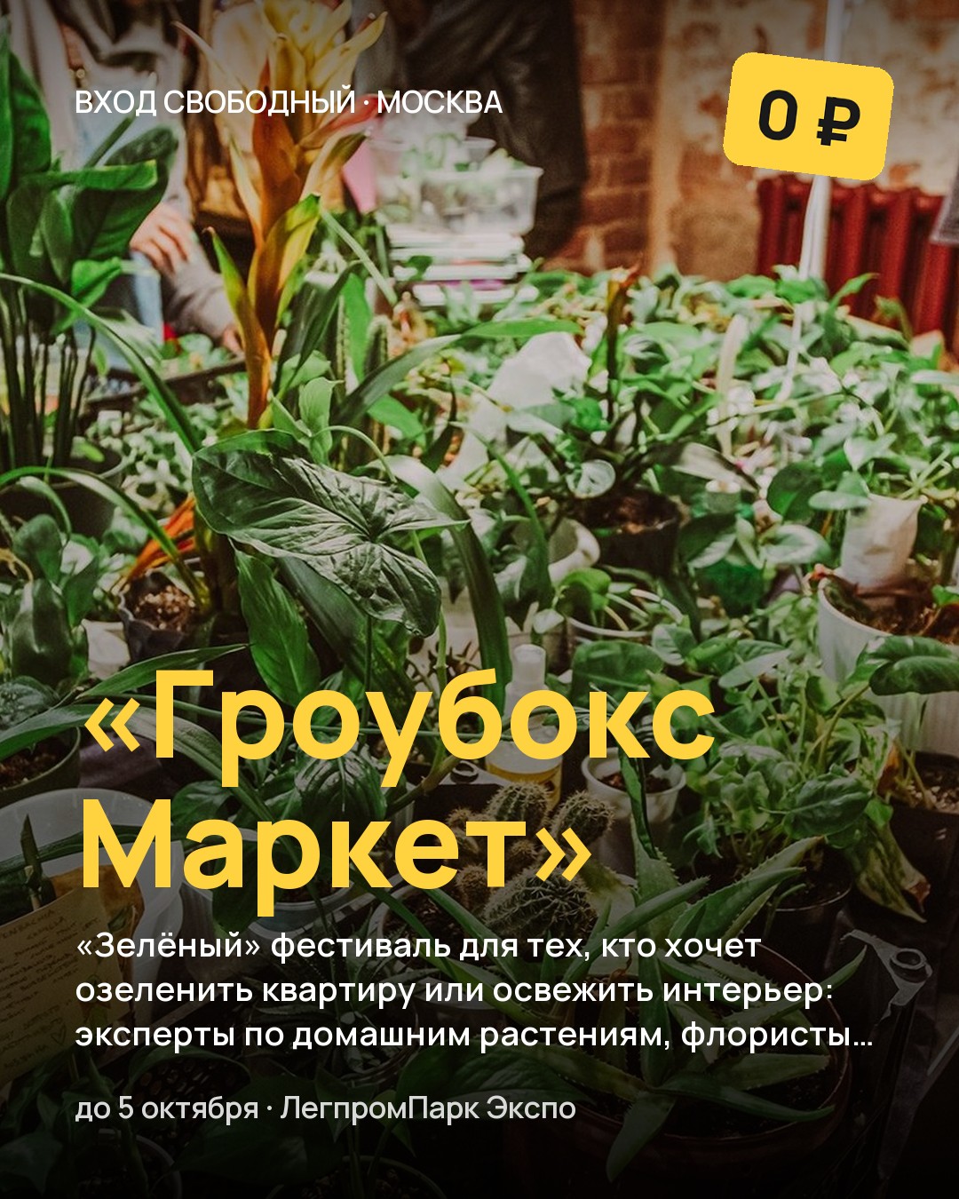 Фестиваль «Гроубокс Маркет»